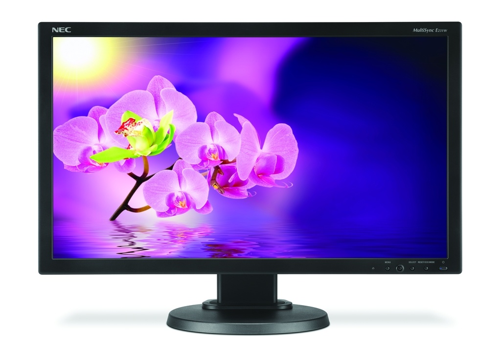 NEC Multisync E231W